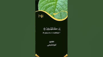 من تلاوات استوديو رمز                           القارئ |أنورالشرعبي #قرآن #تلاوات