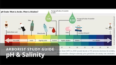 [Re-upload] pH and salinity | Soil Science + Water Management