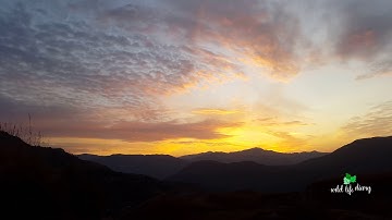Beautiful orange sky view #morning #mountain #himalaya #fresh #sky #sunrise #himachal