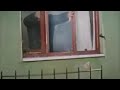 هروب اصلي وفرحات مسلسل حب أبيض وأسود هروب اصلي وفرحات مسلسل حب أبيض وأسود