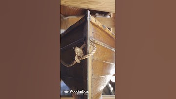 A Journey through Maine