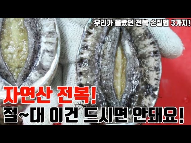 자연산 전복! 절대 이건 드시면 안돼요!! 모두몰랐던 전복손질법 3가지! 자연산 전복! 절대 이건 드시면 안돼요!! 모두몰랐던 전복손질법 3가지! #1
