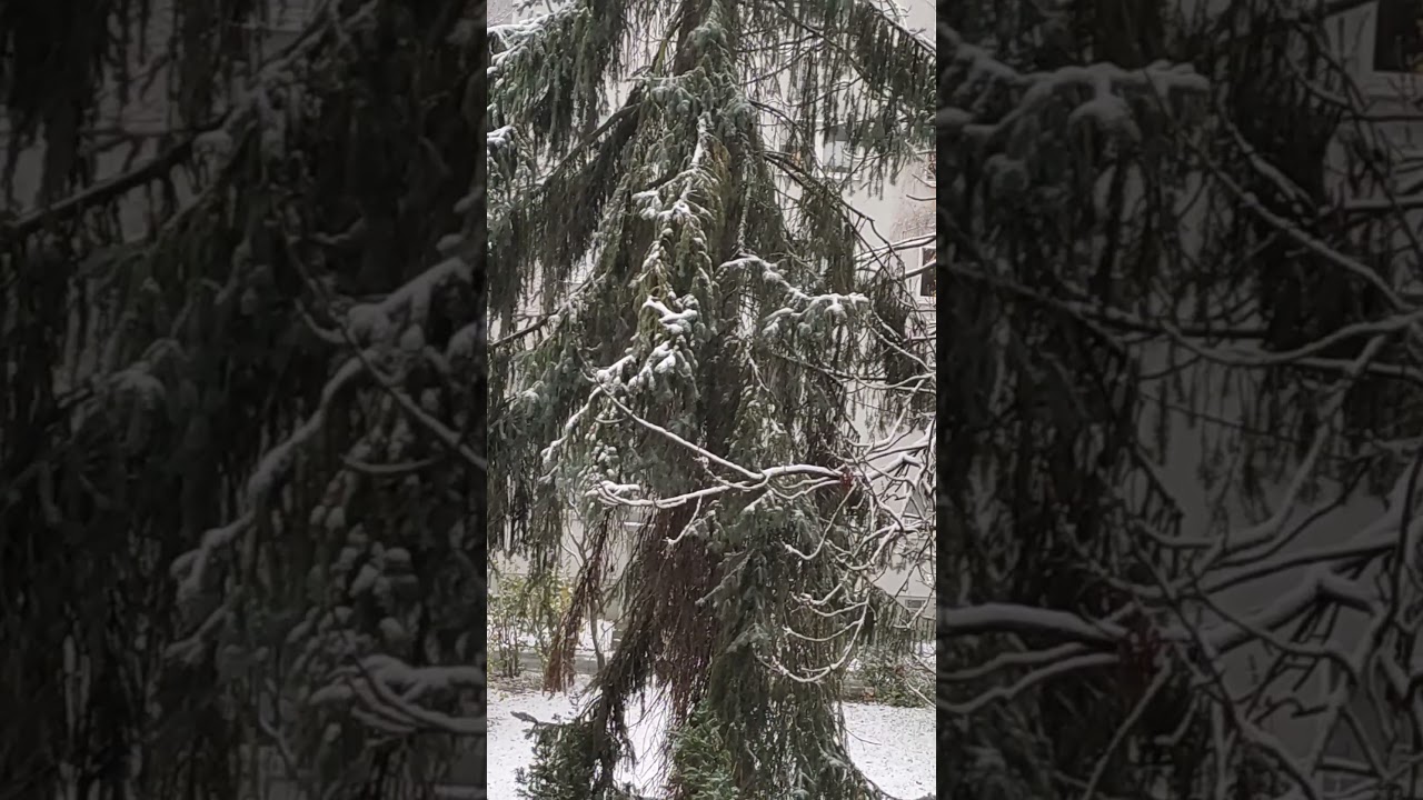 В Лейпциге идёт снег