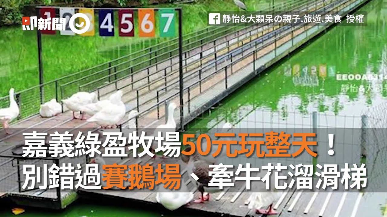嘉義綠盈牧場50元玩整天 別錯過賽鵝場 牽牛花溜滑梯 Youtube