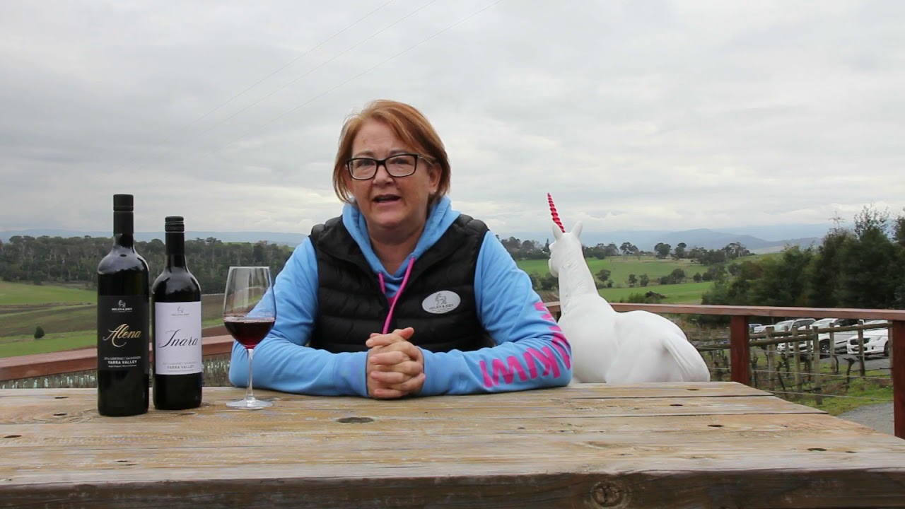 Vin Chicago Helen & Joey Estate Video