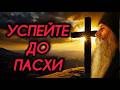 Пасха 2026: Особенное событие и важное послание батюшки ✝️