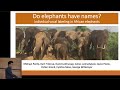 Vocal labelling of individual conspecifics in african elephants  michael pardo