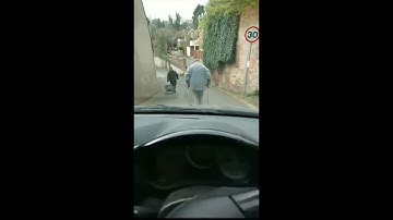 MOVE! Oblivion NPC Conversation (Original Recreated)