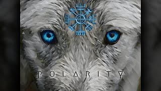 POLARITY - Trailer