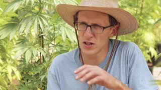 Developing a Connoisseur Cannabis Palate: Mike Angelotti / Ganjier