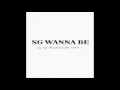 The best of Sg Wannabe_Part 1