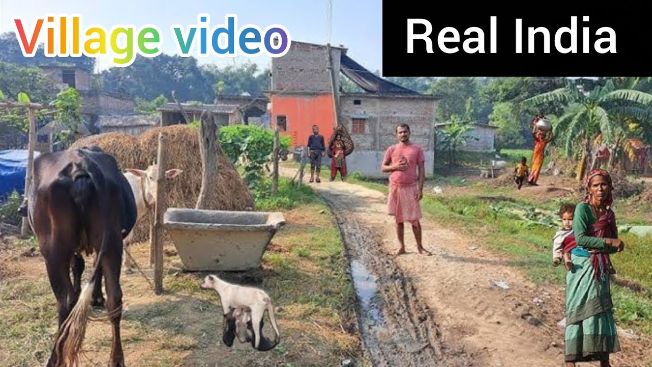 Indian 🇮🇳 Village The Most Peaceful Morning in an Indian Village | Experiencing the Rustic Life of 