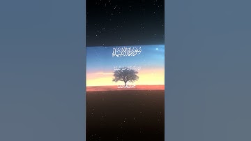 سورة الأنبياء|103-106|القارئ:#محمد_اللحيدان #قران #quran#قران_كريم #تلاوة #تلاوة_هادئة #تلاوة_خاشعة