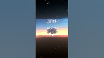 سورة الأنبياء|103-106|القارئ:#محمد_اللحيدان #قران #quran#قران_كريم #تلاوة #تلاوة_هادئة #تلاوة_خاشعة