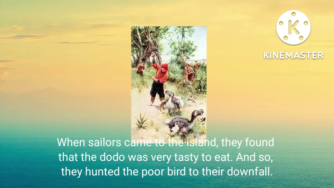 Meet the Dodo Bird (34 seconds) Extinct Animals Collection