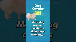 Unlock the Secret to Unbreakable DOG OWNER Bonds!  #dogowner #dogowners #dogownership