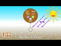 蓄光石の案内　字幕有り