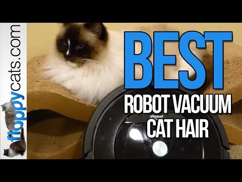 Best Robot Vacuum Cat Hair - iRobot Roomba 880 Review - Roomba for Pets Costco