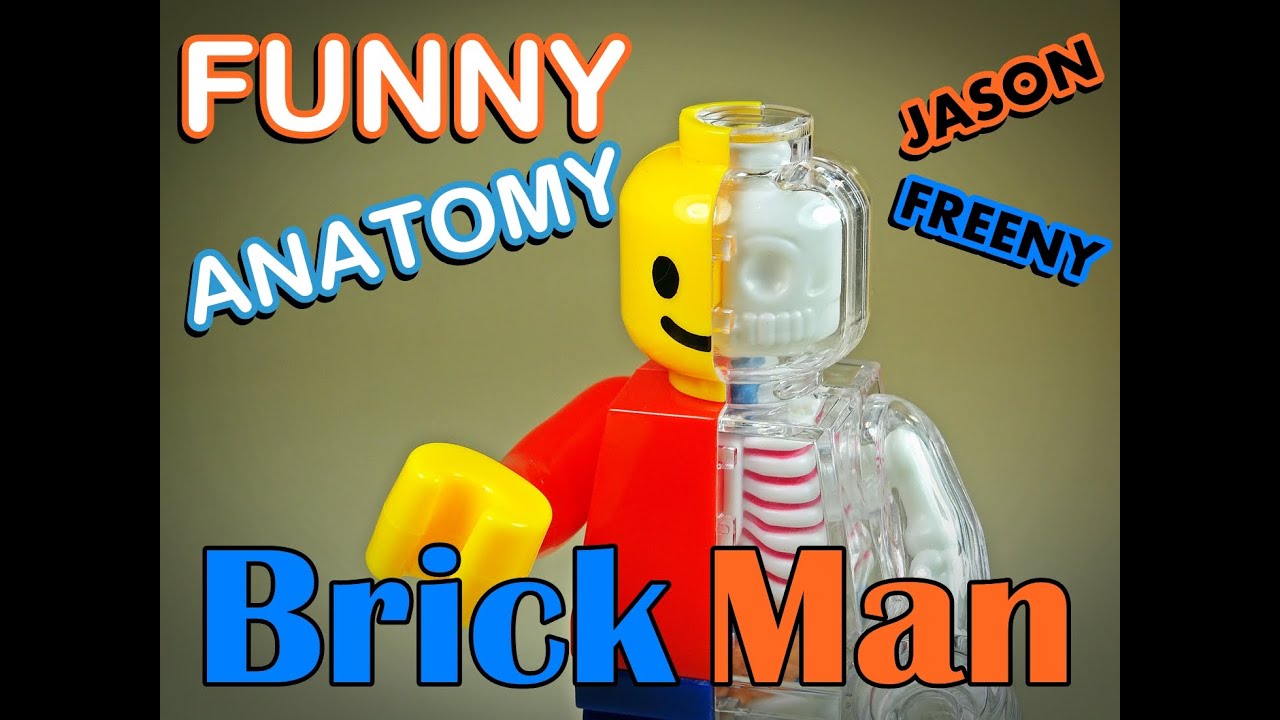 4D Master x Jason Freeny – Funny Anatomy – Brick Man – XXRAY
