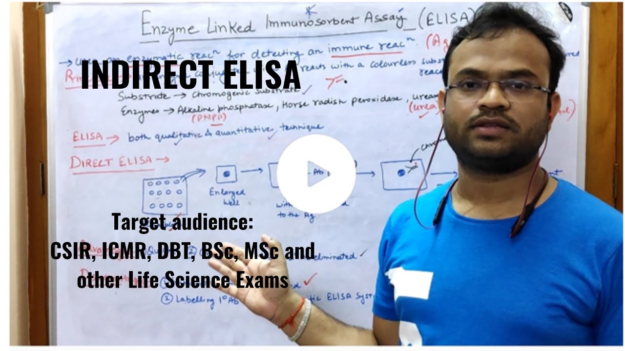 Indirect ELISA - YouTube