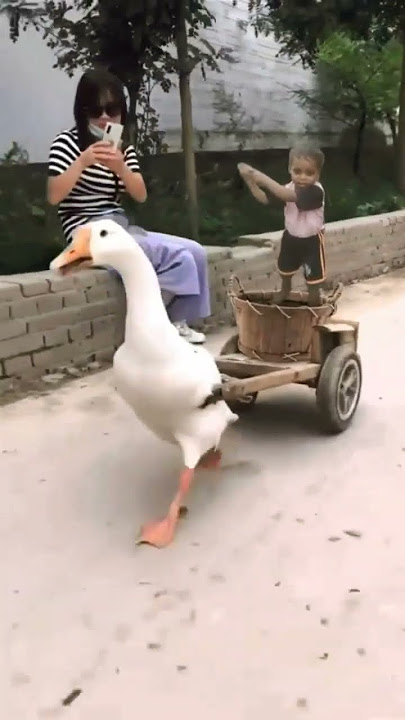 yfhnv bjbv Bjggc jv bhgc bbv. bvvbhv. bbv b. b. gv vgg. bbv.  bvvHhvhgb hgv.
