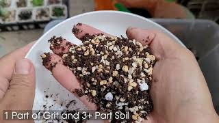 My Succulent Gritty Mix 2023 Version Pumice Zeolite by Thang Plants 1,798 views 8 months ago 11 minutes, 45 seconds