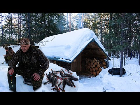 Видео: Наловили рыбы.  Изба скрылась под снегом. На приваде первые посетители.