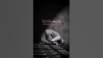 الشَّيْطَانُ يَعِدُكُمُ الْفَقْرَ / سورة البقرة/ القارئ رزكار محمد الكردي /حالات واتس-ستوريات انستا