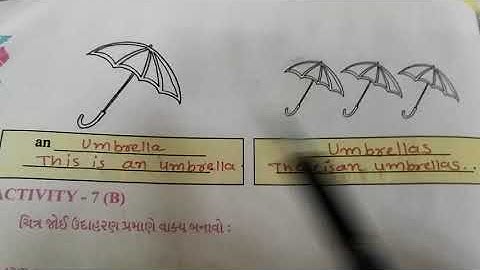 Std 5 Eng unit umbrellas are colourful