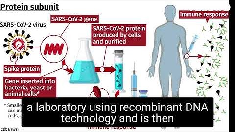 subunit vaccine and how does it work
