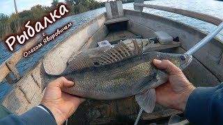 видео: Ловля судака на пульку. картинка: Ловля судака на пульку.