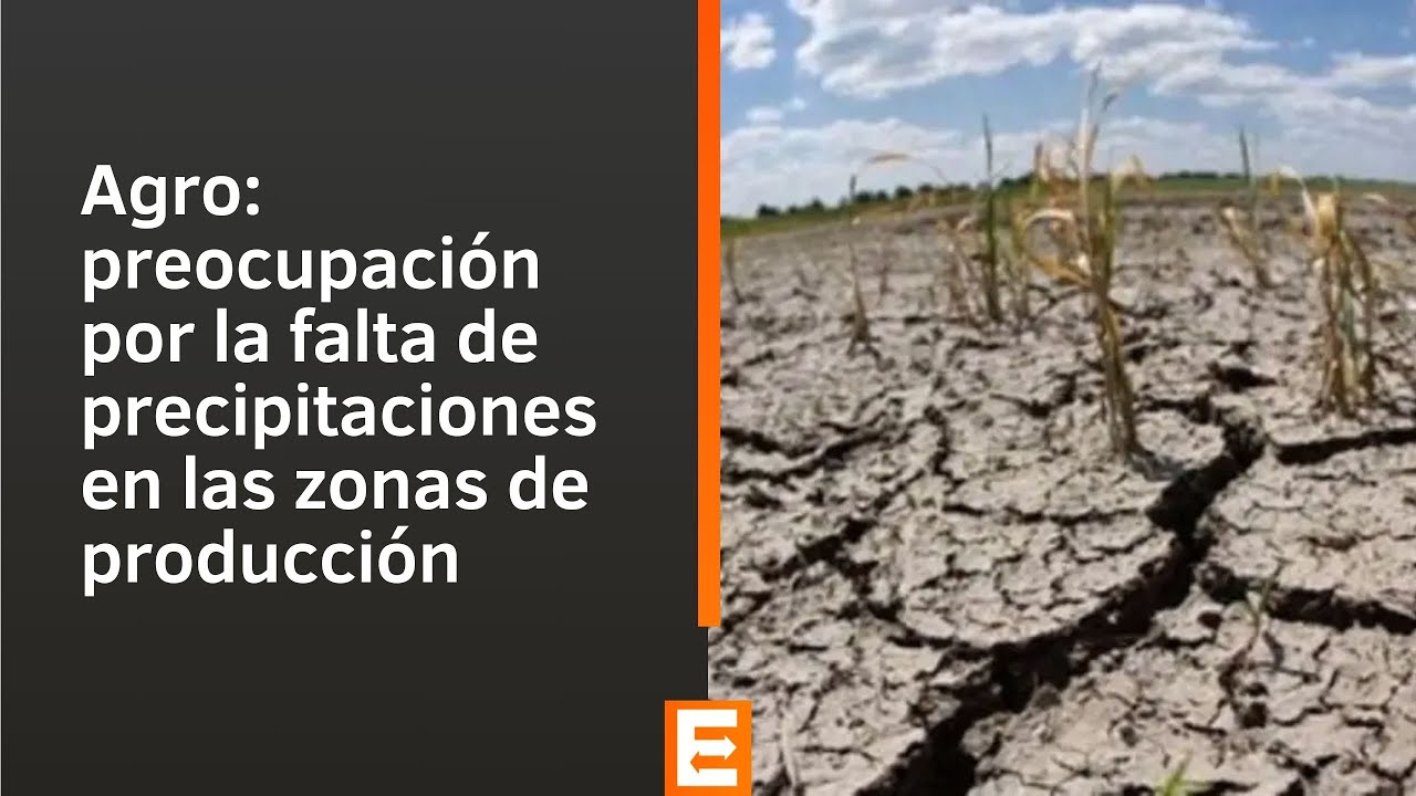 Agro: preocupación por la falta de precipitaciones en las zonas de ...