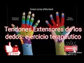 Tendones extensor de los dedos : fisioterapia