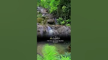 سورة المؤمنون بصوت الشيخ ياسر الدوسري 84-89 #قران_كريم
