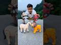 Dui ta Remote Control animal toy lion and horse Unboxing