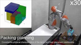 Packing Planning and Execution Considering Arrangement Rules - experiments