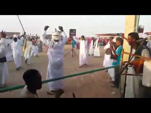 هيثم زمراوى جنى الغزلان