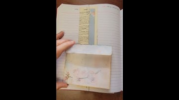 Belly Band/Envelope Slider