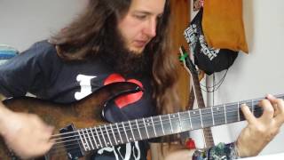Gojira - Liquid Fire (guitar cover)