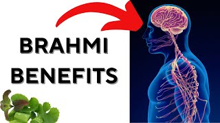 Secret of Brahmi (Bacopa) : The Ultimate Brain-Boosting Herb !