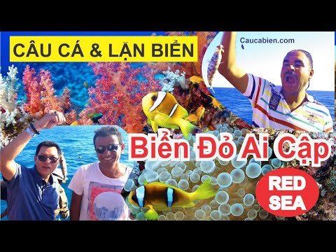 Video: Mùa Bãi Biển ở Ai Cập