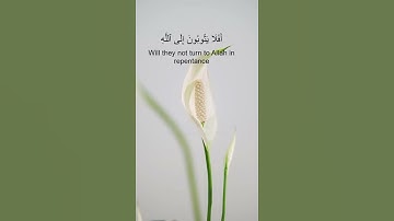 Surah Al-Ma'idah(5) سورة المائدة Verse 74 آلاية Abd El Rahman Mosrd بصوت الشيخ عبد الرحمن مسعد