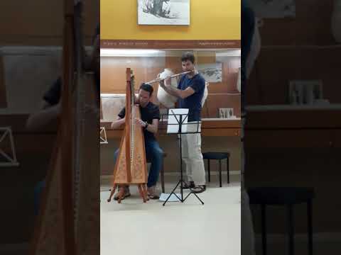 Grone Lunden - Flute and Harp Cover
