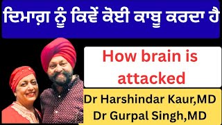 ⁣1070 - Amygdala hijack! How our brain is controlled!! ਦਿਮਾਗ਼ ਨੂੰ ਕਿਵੇਂ ਕਾਬੂ ਕੀਤਾ ਜਾਂਦਾ ਹੈ !