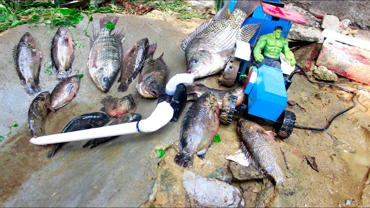 Catch fish using mini water pump | fishing exciting | diy tractor  