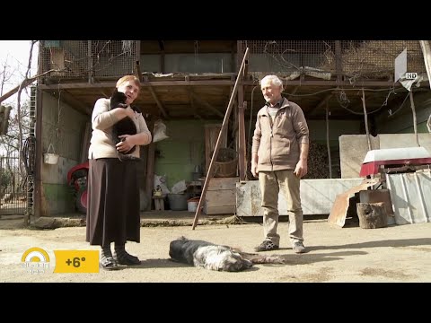 #ახალიდღე ​კვიჩილაძეების ოჯახი გურიიდან - რუბრიკა #რეგიონი