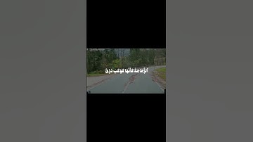 الشيخ محمد الليثي سورة النور #قرآن #المصحف #اكسبلور