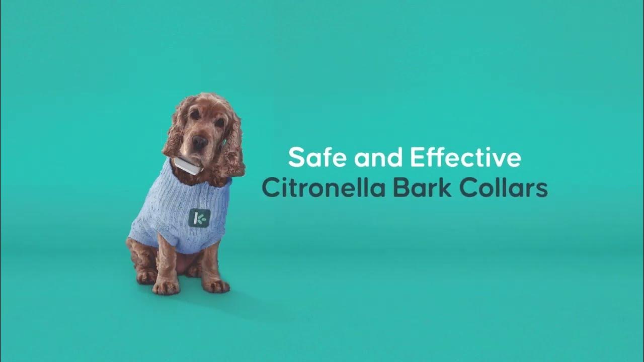 Barktec Citronella Bark Collars Your safe and effective choice for