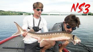 The RIVER is awake, securing 3 fish species (Never Stop Tour 3 - The Finale)