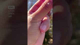 #ColorTransformation #MagicEdit #ColorShift #AestheticVibes #RedVibes #NatureEdit #BeforeAfter